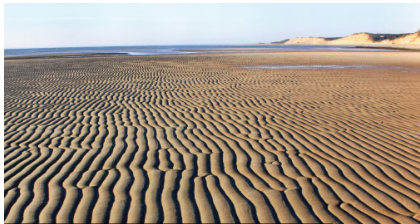 an Image of sand dunes
